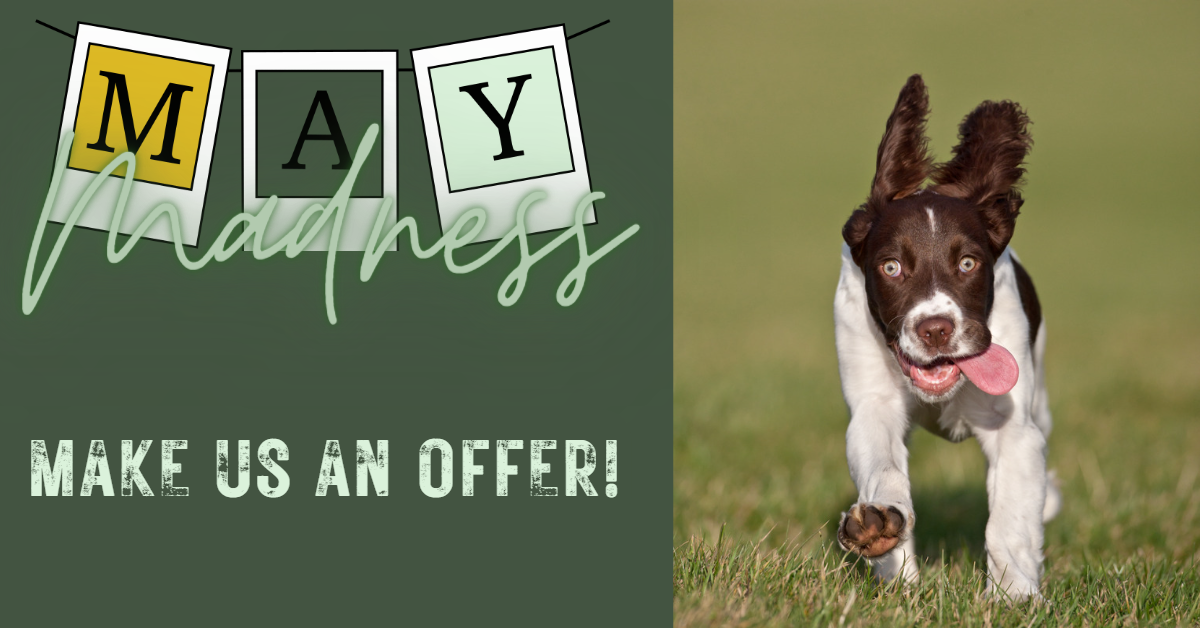 Make Us A Reasonable Offer